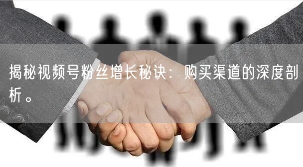 揭秘视频号粉丝增长秘诀:购买渠道的深度剖析。