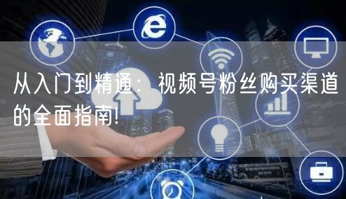 从入门到精通：视频号粉丝购买渠道的全面指南!