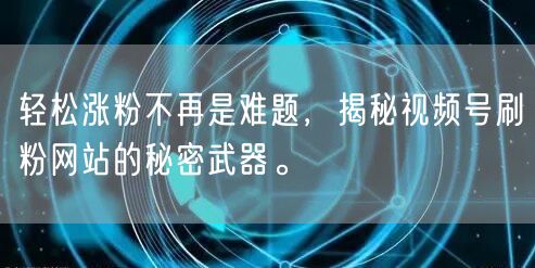 轻松涨粉不再是难题,揭秘视频号刷粉网站的秘密武器。