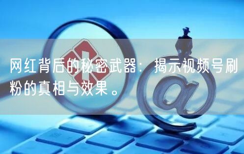 网红背后的秘密武器：揭示视频号刷粉的真相与效果。