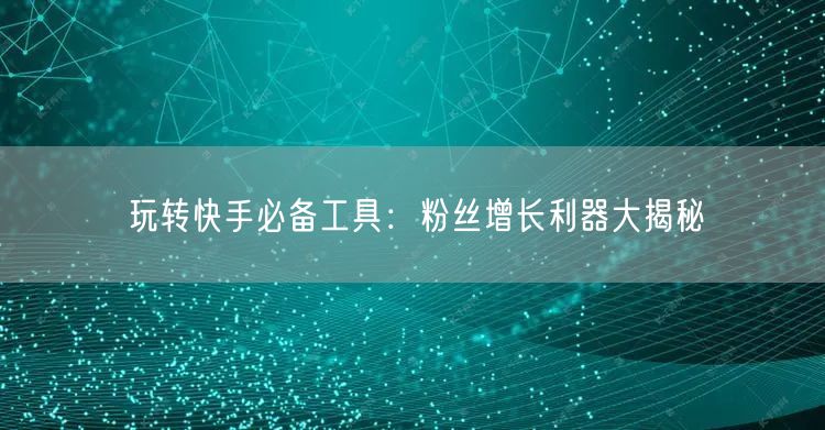 玩转快手必备工具:粉丝增长利器大揭秘