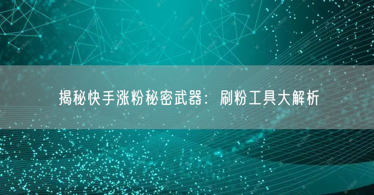 揭秘快手涨粉秘密武器:刷粉工具大解析