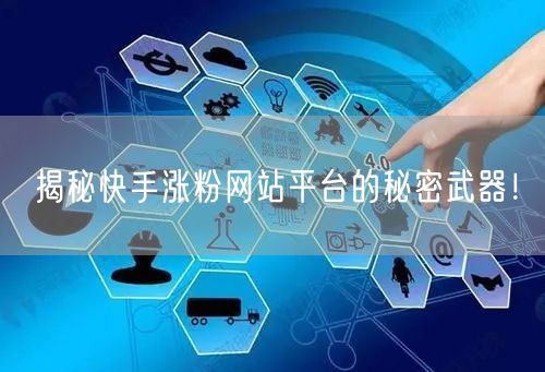 揭秘快手涨粉网站平台的秘密武器!