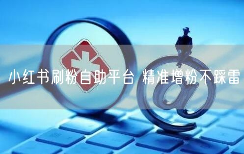 小红书刷粉自助平台 精准增粉不踩雷