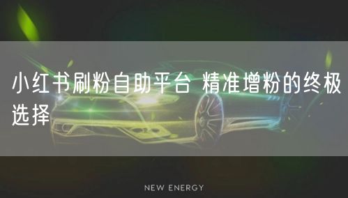 小红书刷粉自助平台 精准增粉的终极选择