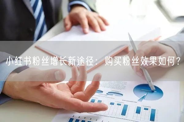 小红书粉丝增长新途径:购买粉丝效果如何?