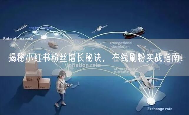 揭秘小红书粉丝增长秘诀,在线刷粉实战指南!