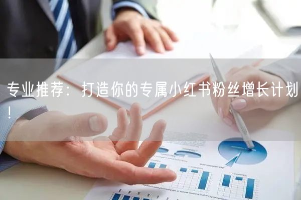 专业推荐:打造你的专属小红书粉丝增长计划!