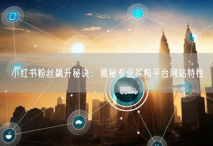 小红书粉丝飙升秘诀:揭秘专业买粉平台网站特性