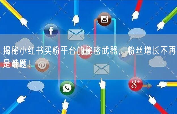 揭秘小红书买粉平台的秘密武器,粉丝增长不再是难题!