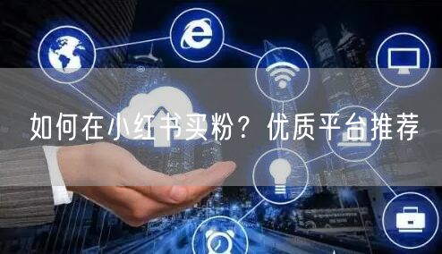 如何在小红书买粉?优质平台推荐