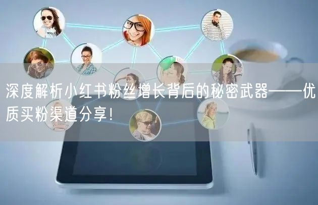 深度解析小红书粉丝增长背后的秘密武器——优质买粉渠道分享!