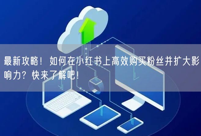 最新攻略!如何在小红书上高效购买粉丝并扩大影响力?快来了解吧!