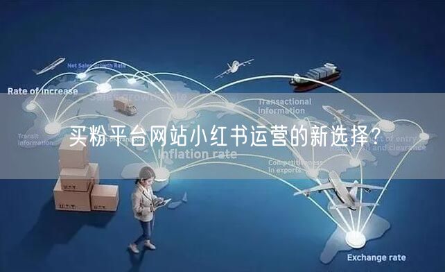 买粉平台网站小红书运营的新选择?