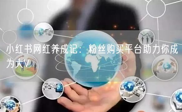 小红书网红养成记：粉丝购买平台助力你成为大V