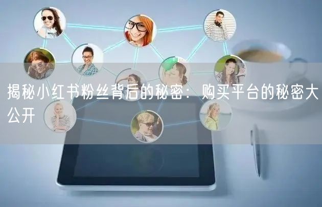 揭秘小红书粉丝背后的秘密：购买平台的秘密大公开
