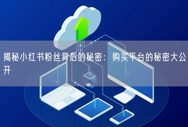 揭秘小红书粉丝背后的秘密：购买平台的秘密大公开