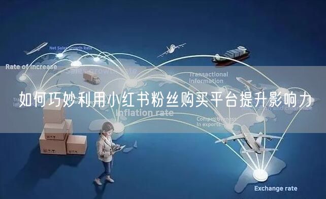 如何巧妙利用小红书粉丝购买平台提升影响力