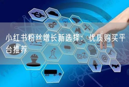 小红书粉丝增长新选择:优质购买平台推荐