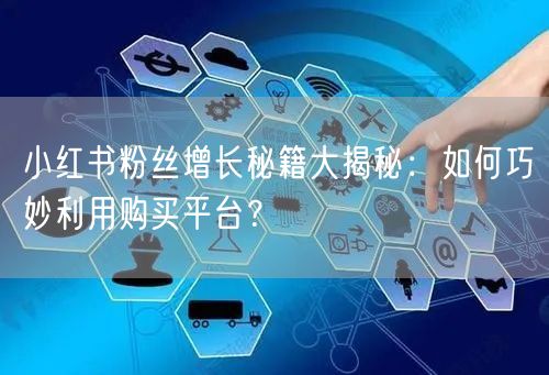 小红书粉丝增长秘籍大揭秘:如何巧妙利用购买平台?